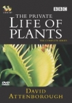 The Private Life of Plants