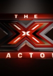 The X Factor